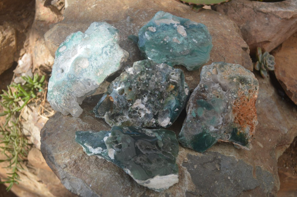 Polished On One Side Emerald Mtorolite Plates x 3 From Mutorashanga, Zimbabwe - Toprock Gemstones and Minerals 