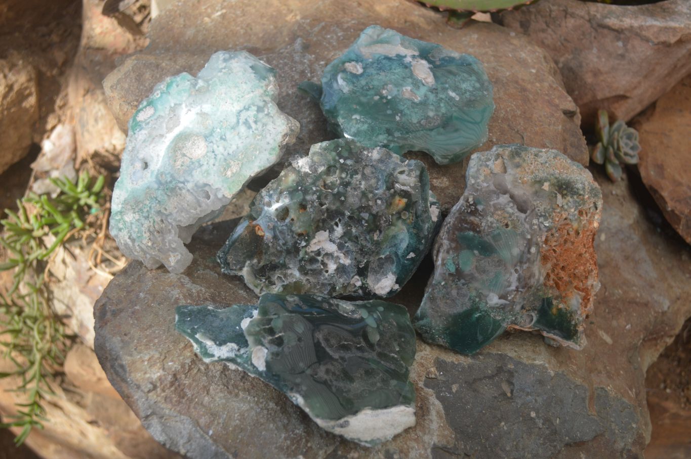 Polished On One Side Emerald Mtorolite Plates x 3 From Mutorashanga, Zimbabwe - Toprock Gemstones and Minerals 
