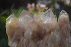 Natural Cascading Smokey Quartz Clusters x 3 From Luena, Congo - Toprock Gemstones and Minerals 