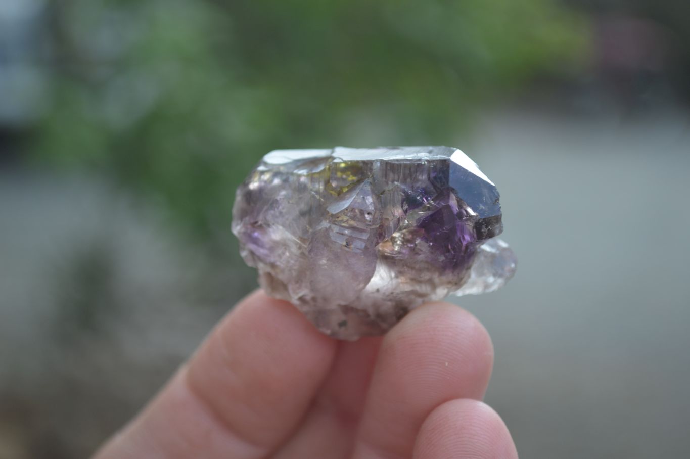 Natural Window Amethyst Sceptre Crystals  x 35 From Chiredzi, Zimbabwe - Toprock Gemstones and Minerals 