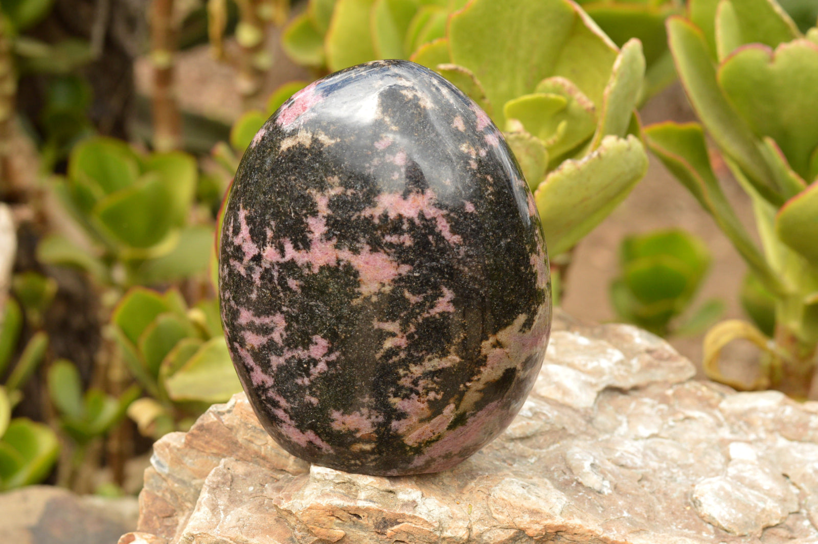 Polished Pink & Black Rhodonite Standing Free Form  x 1 From Ambindavato, Madagascar - TopRock