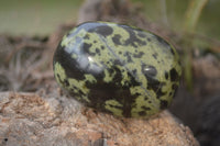 Polished Leopard Stone Palm Stones  x 6 From Zimbabwe - Toprock Gemstones and Minerals 