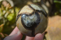 Polished Gorgeous Septerye Spheres x 4 From Madagascar - Toprock Gemstones and Minerals 