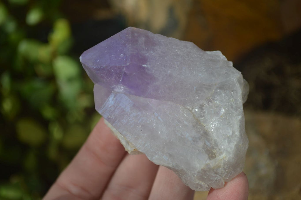 Natural Single Jacaranda Amethyst Crystals x 12 From Mumbwe, Zambia - Toprock Gemstones and Minerals 