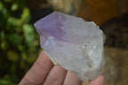 Natural Single Jacaranda Amethyst Crystals x 12 From Mumbwe, Zambia - Toprock Gemstones and Minerals 