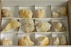 Natural Pineapple/Candle Quartz Clusters  x 14 From Madagascar - TopRock