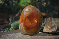Polished Polychrome / Picasso Jasper Standing Free Forms  x 3 From Madagascar - Toprock Gemstones and Minerals 