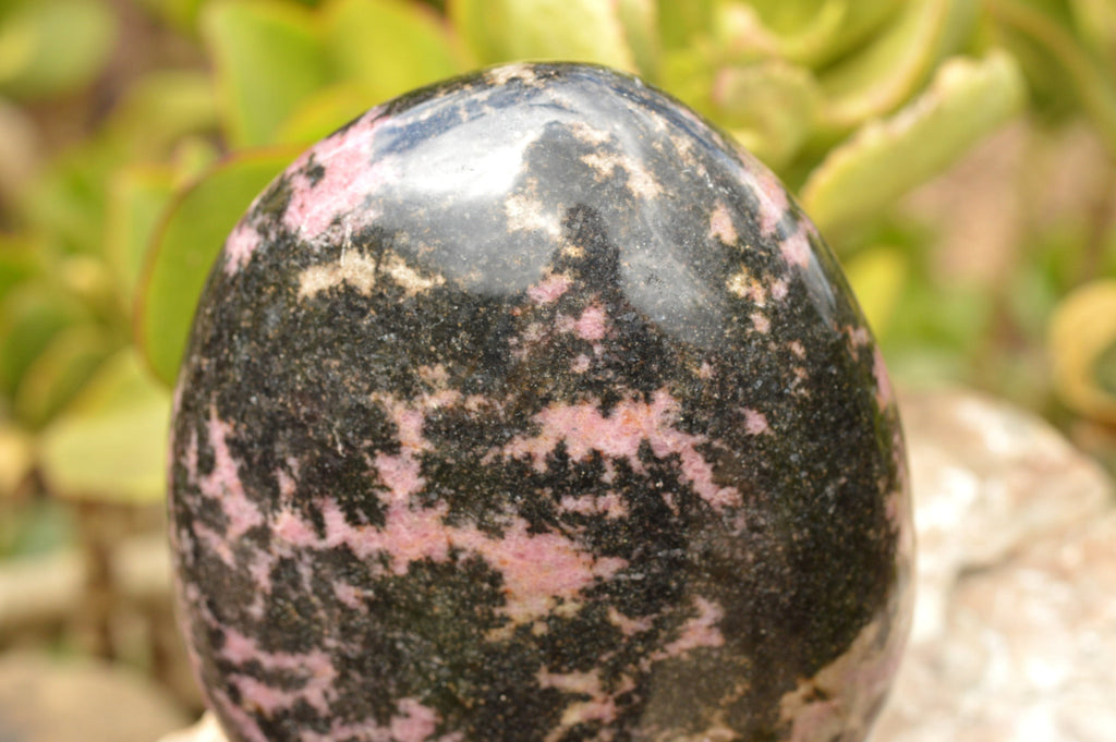 Polished Pink & Black Rhodonite Standing Free Form  x 1 From Ambindavato, Madagascar - TopRock