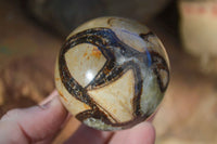 Polished Gorgeous Septerye Spheres x 4 From Madagascar - Toprock Gemstones and Minerals 