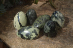 Polished Leopard Stone Free Forms  x 6 From Zimbabwe - Toprock Gemstones and Minerals 