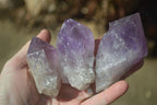 Natural Single Jacaranda Amethyst Crystals x 12 From Mumbwe, Zambia - Toprock Gemstones and Minerals 