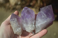 Natural Single Jacaranda Amethyst Crystals x 12 From Mumbwe, Zambia - Toprock Gemstones and Minerals 