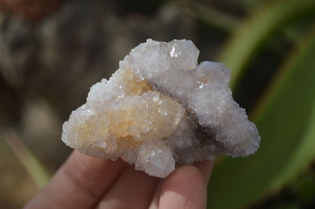 Natural Spirit Quartz Clusters x 12 From Boekenhouthoek, South Africa - Toprock Gemstones and Minerals 