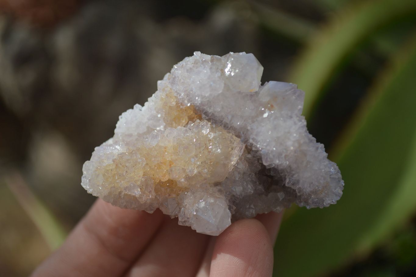 Natural Spirit Quartz Clusters x 12 From Boekenhouthoek, South Africa - Toprock Gemstones and Minerals 