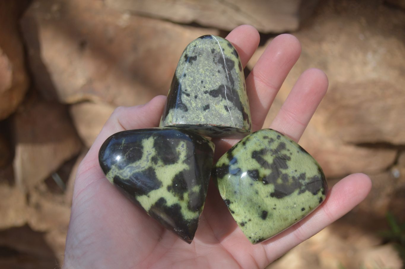 Polished Leopard Stone Free Forms  x 12 From Zimbabwe - Toprock Gemstones and Minerals 