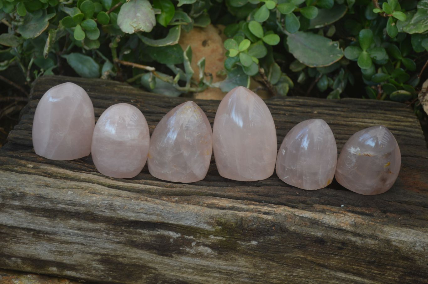 Polished Gemmy Rose Quartz Standing Free Forms x 6 From Ambatondrazaka, Madagascar - Toprock Gemstones and Minerals 
