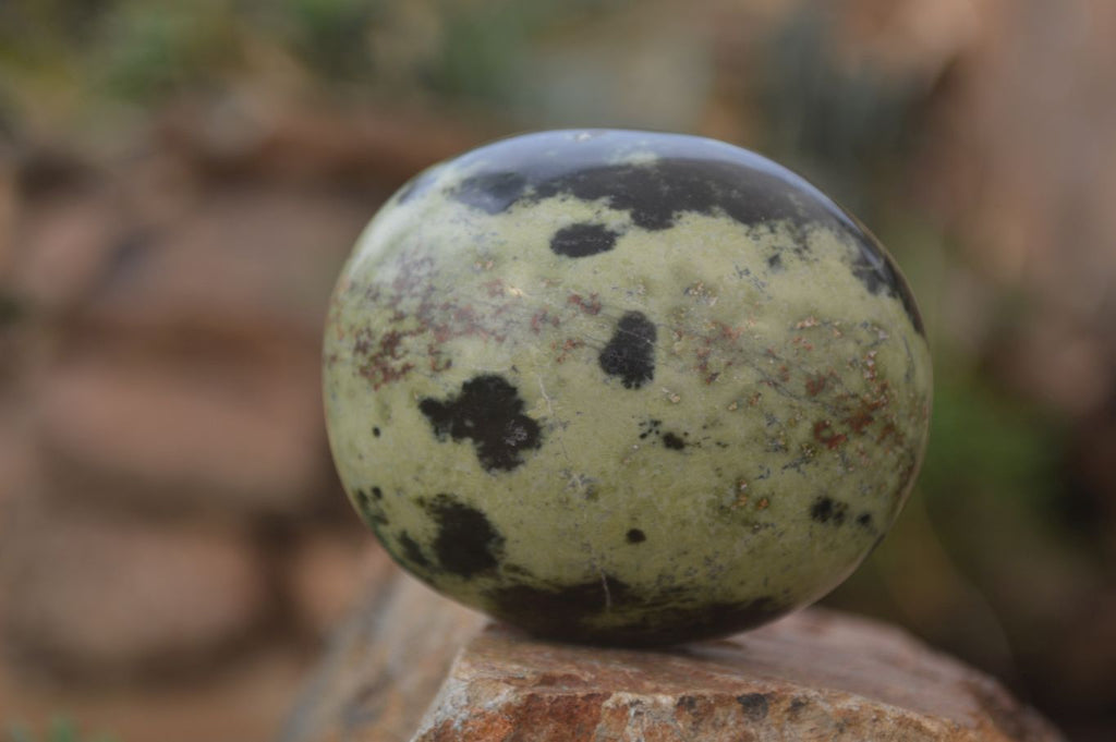 Polished Leopard Stone Palm Stones  x 6 From Zimbabwe - Toprock Gemstones and Minerals 