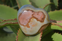 Polished Polychrome Jasper Hearts  x 12 From Madagascar