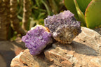 Natural Small Dark "Amethystos" Amethyst Clusters x 35 From Kwaggafontein, South Africa - TopRock