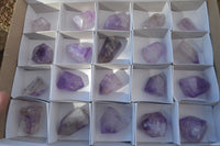 Polished Mini Window Amethyst Points x 20 From Ankazobe, Madagascar - Toprock Gemstones and Minerals 