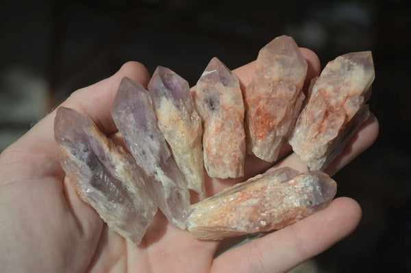 Natural Single Sugar Amethyst Crystals  x 70 From Zambia - Toprock Gemstones and Minerals 