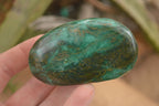 Polished Green Verdite Galet / Palm Stones x 6 From Zimbabwe - Toprock Gemstones and Minerals 