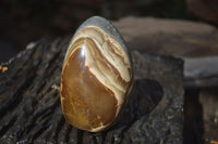 Polished Polychrome / Picasso Jasper Standing Free Forms  x 3 From Madagascar - Toprock Gemstones and Minerals 