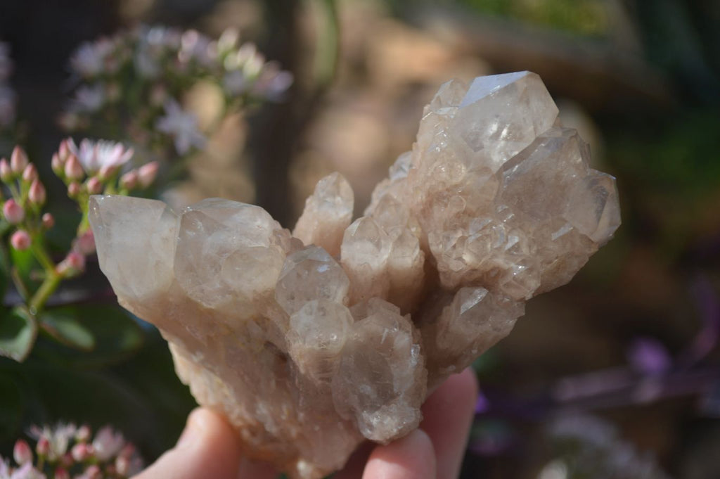 Natural Cascading Smokey Quartz Clusters x 3 From Luena, Congo - Toprock Gemstones and Minerals 