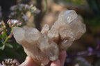 Natural Cascading Smokey Quartz Clusters x 3 From Luena, Congo - Toprock Gemstones and Minerals 