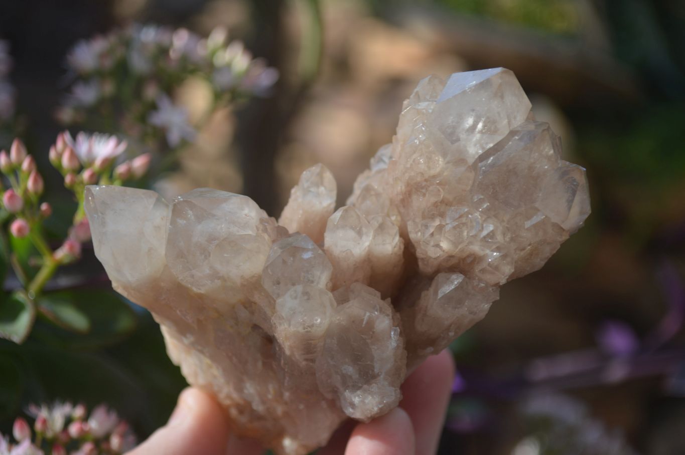 Natural Cascading Smokey Quartz Clusters x 3 From Luena, Congo - Toprock Gemstones and Minerals 