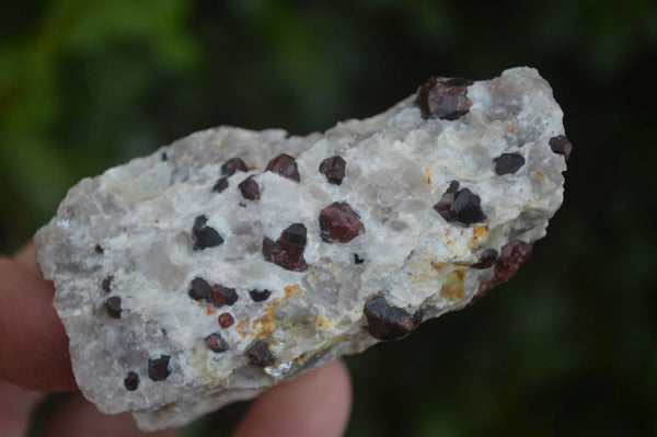 Natural Red Pyrope Garnet Crystals In Feldspar & Quartz Matrix  x 12 From Karibib, Namibia - Toprock Gemstones and Minerals 