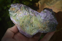 Natural Rough Stichtite Cobbed Specimens x 3 From Barberton, South Africa - Toprock Gemstones and Minerals 