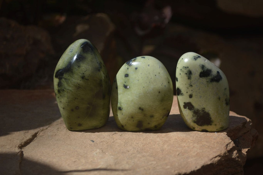 Polished Leopard Stone Free Forms  x 12 From Zimbabwe - Toprock Gemstones and Minerals 