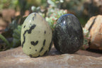 Polished Leopard Stone Free Forms  x 6 From Zimbabwe - Toprock Gemstones and Minerals 
