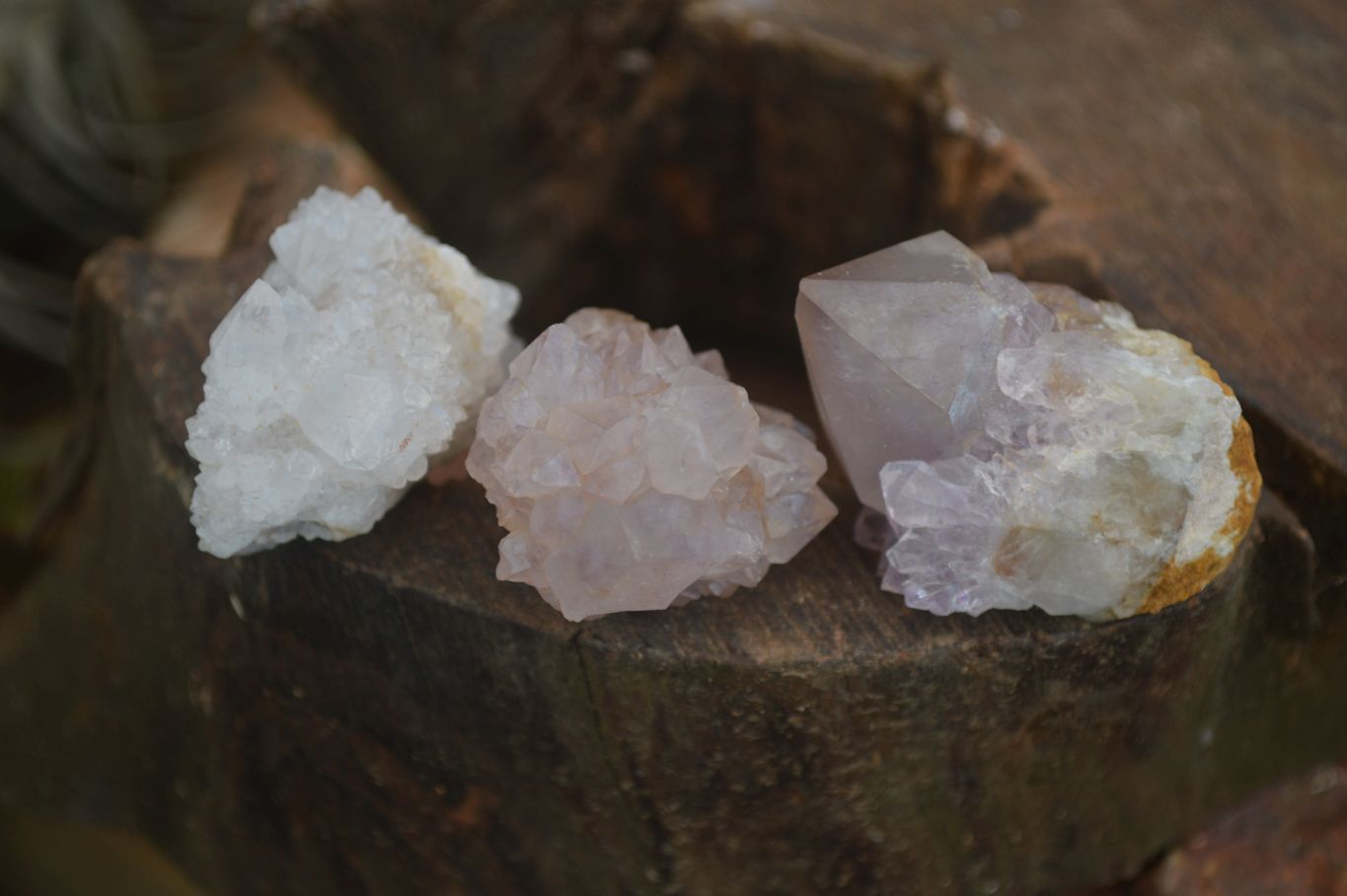 Natural Small Mixed Spirit Quartz Clusters  x 20 From Boekenhouthoek, South Africa - Toprock Gemstones and Minerals 