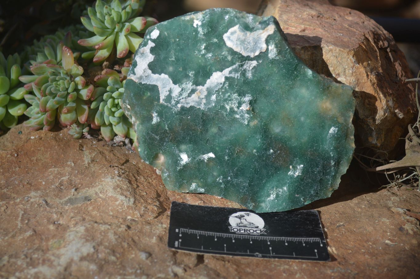 Natural Emerald Mtorolite Plates x 3 From Mutorashanga, Zimbabwe - Toprock Gemstones and Minerals 