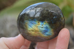 Polished Flashy Labradorite Palm Stones  x 12 From Tulear, Madagascar - Toprock Gemstones and Minerals 