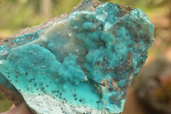 Natural Mixed Chrysocolla Dolomite Specimens (Some With Malachite) x 7 From Congo - TopRock