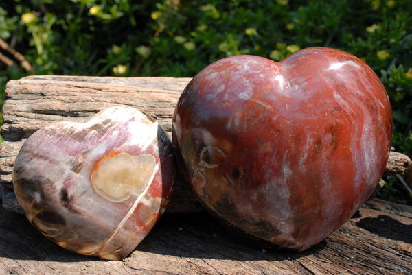 Polished Red Podocarpus Petrified Wood Hearts x 2 From Mahajanga, Madagascar - TopRock