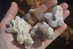Natural Small Mixed Spirit Quartz Clusters  x 20 From Boekenhouthoek, South Africa - Toprock Gemstones and Minerals 