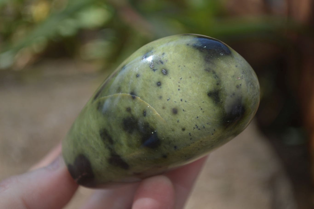 Polished Leopard Stone Free Forms  x 12 From Zimbabwe - Toprock Gemstones and Minerals 