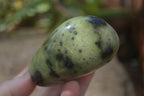 Polished Leopard Stone Free Forms  x 12 From Zimbabwe - Toprock Gemstones and Minerals 