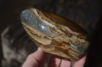 Polished Polychrome / Picasso Jasper Standing Free Forms  x 3 From Madagascar - Toprock Gemstones and Minerals 