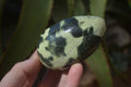 Polished Leopard Stone Free Forms  x 6 From Zimbabwe - Toprock Gemstones and Minerals 