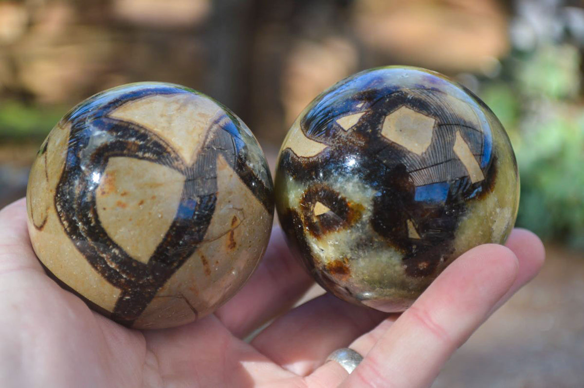Polished Gorgeous Septerye Spheres x 4 From Madagascar - Toprock Gemstones and Minerals 
