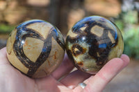 Polished Gorgeous Septerye Spheres x 4 From Madagascar - Toprock Gemstones and Minerals 