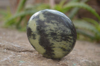 Polished Leopard Stone Palm Stones  x 6 From Zimbabwe - Toprock Gemstones and Minerals 