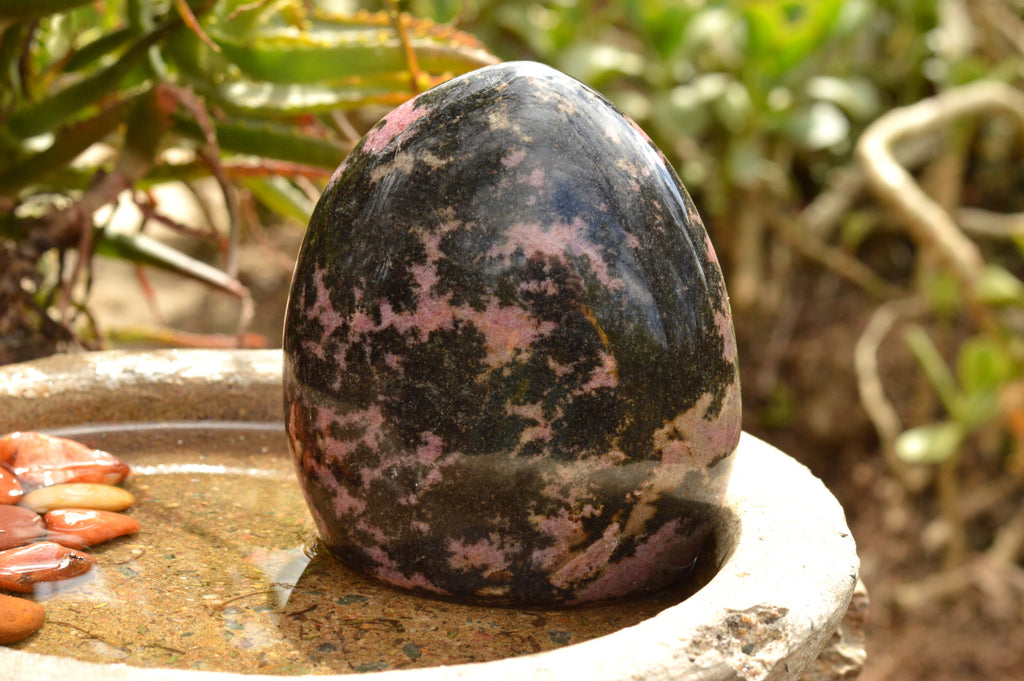 Polished Pink & Black Rhodonite Standing Free Form  x 1 From Ambindavato, Madagascar - TopRock