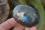 Polished Flashy Labradorite Palm Stones  x 12 From Tulear, Madagascar - Toprock Gemstones and Minerals 