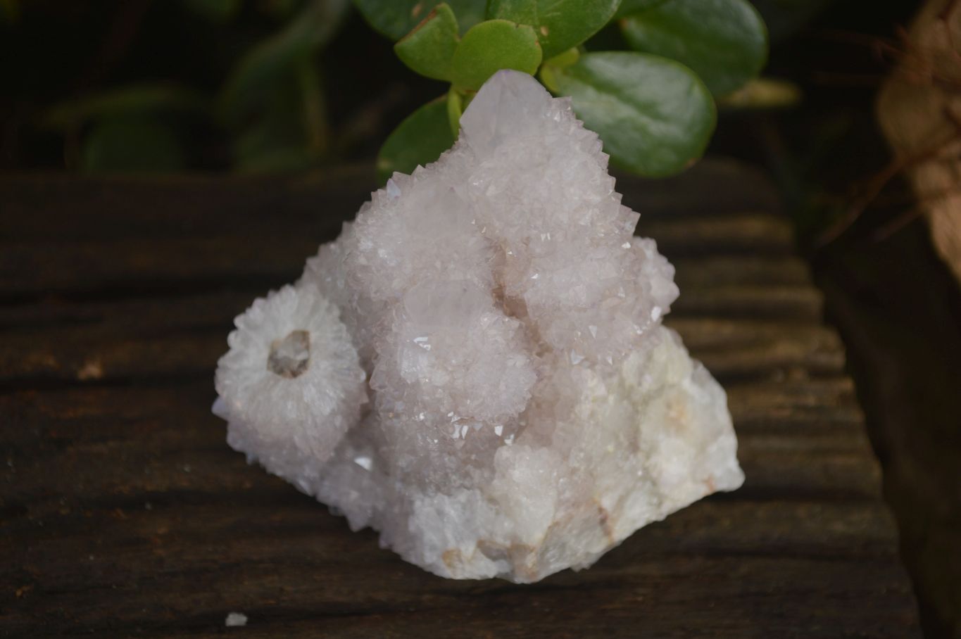 Natural Pale Lilac Spirit Quartz Clusters x 12 From Boekenhouthoek, South Africa - Toprock Gemstones and Minerals 